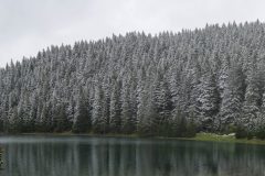 DSC_6267-Pano