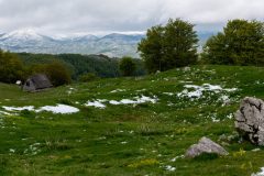 DSC_6295-Pano