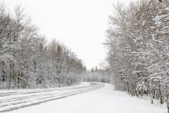 DSC_3601-Edit