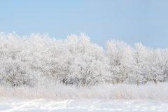 DSC_0383-Pano