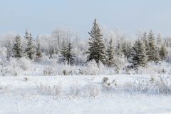DSC_0396-Pano