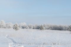 DSC_0408-Pano