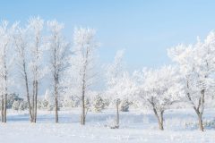 DSC_0417-Pano