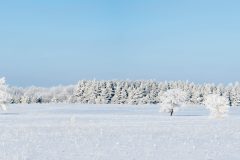 DSC_0431-Pano-2