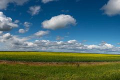 DSC_1632-Pano