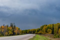 DSC_3308-Edit