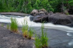 DSC_1197-Edit